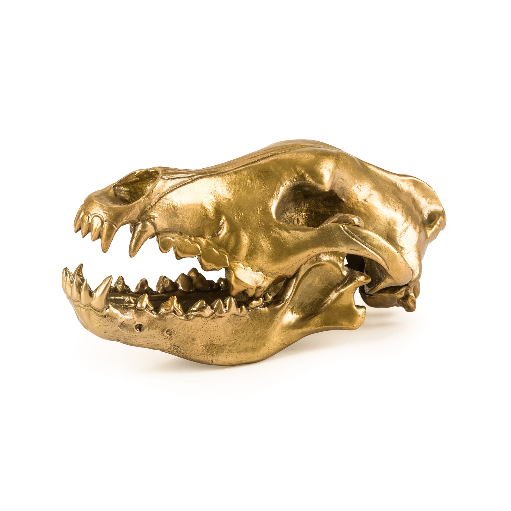 Seletti Decofiguur Wolf Skull product afbeelding