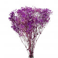 Droogbloemen Gypsophila Purple 120 gram