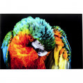 Kare Wandfoto Glass Tropical Parrot