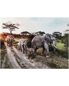 Kare Wandfoto Glass Elephant Family