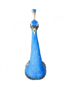 Kare Wanddecoratie Peacock