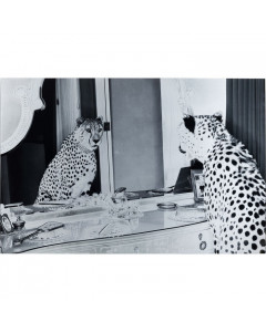 Kare Wandfoto Metallic Gepard 150x100cm