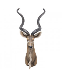 Kare Wanddecoratie Antelope