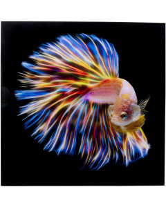Kare Wandfoto Glass Electric Fish
