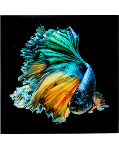 Kare Wandfoto Glass Aqua Queen Fish