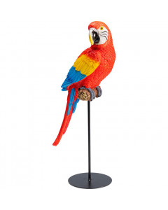 Kare Decofiguur Parrot Macaw