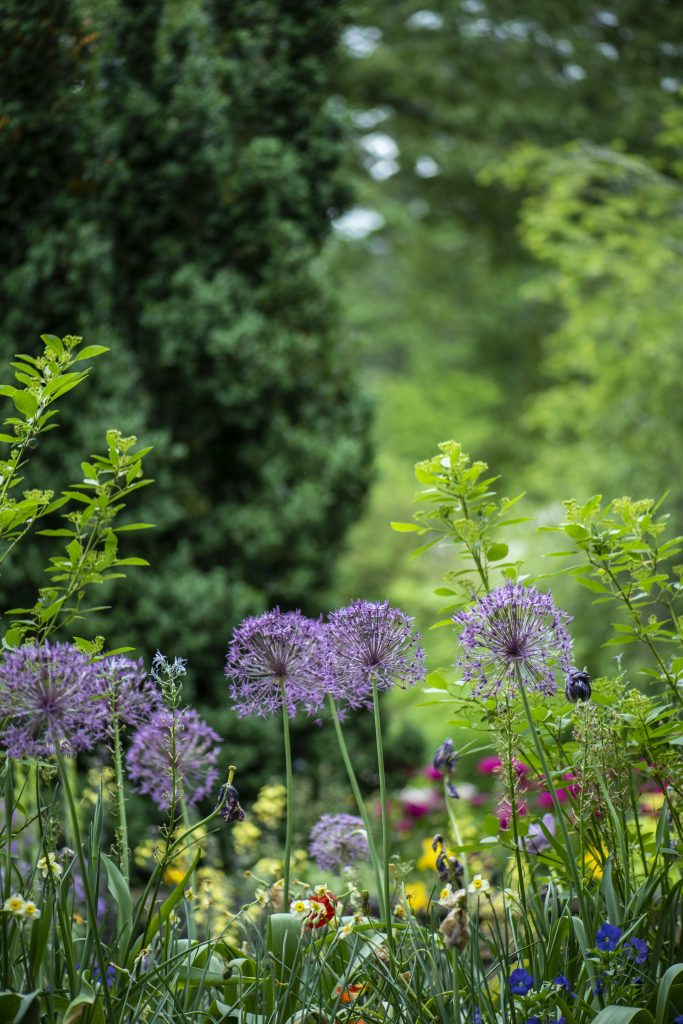 tuin indelen